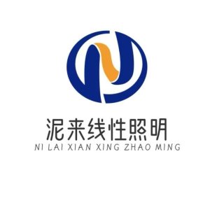 中山市尼来科技有限公司