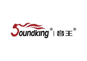 音王(深圳)娱乐科技有限公司