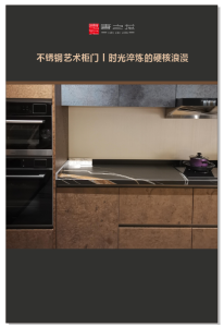 不锈钢柜门板