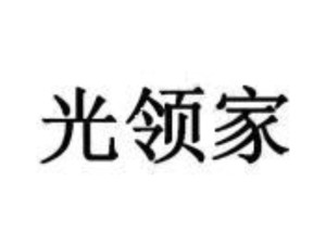 佛山市造灯小匠灯饰有限公司